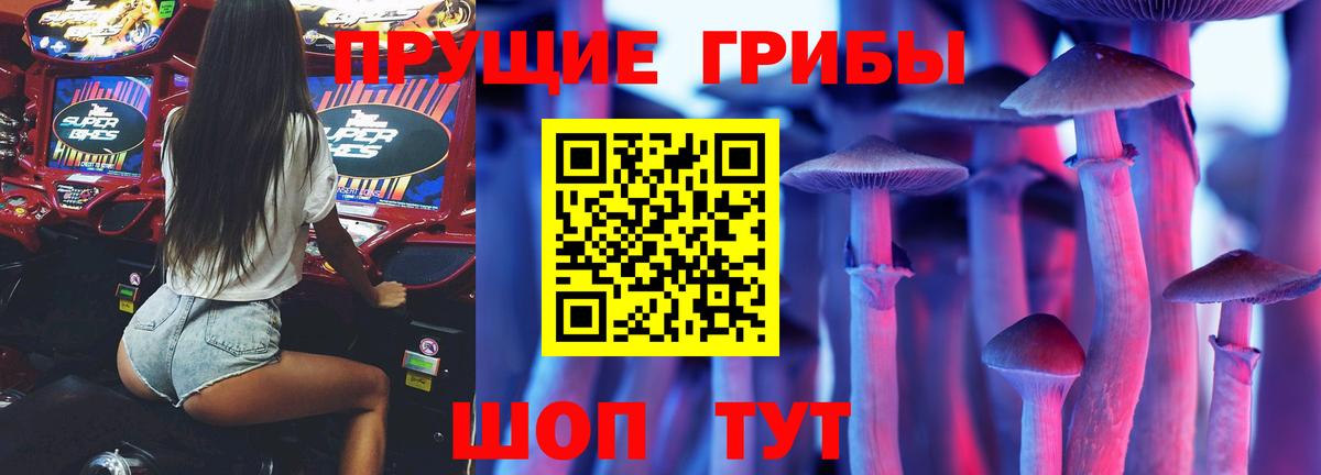 Рославль  Псилоцибиновые грибы прущие грибы  Вход с VPN 